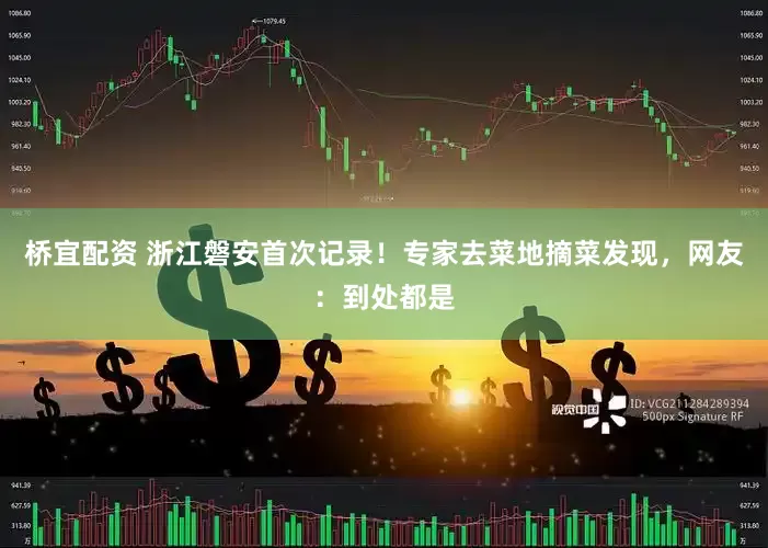 桥宜配资 浙江磐安首次记录！专家去菜地摘菜发现，网友：到处都是