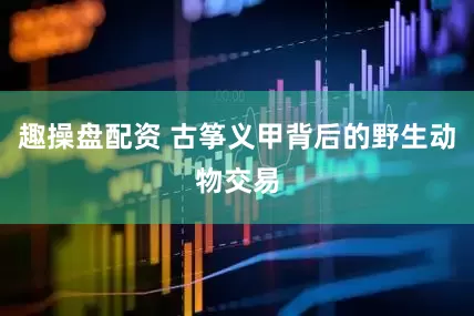 趣操盘配资 古筝义甲背后的野生动物交易