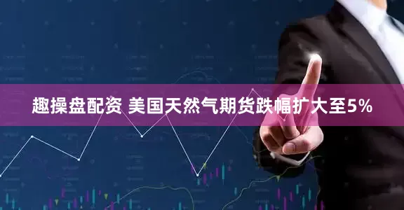 趣操盘配资 美国天然气期货跌幅扩大至5%