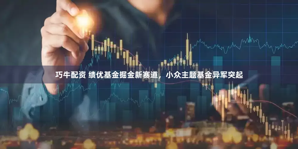 巧牛配资 绩优基金掘金新赛道，小众主题基金异军突起